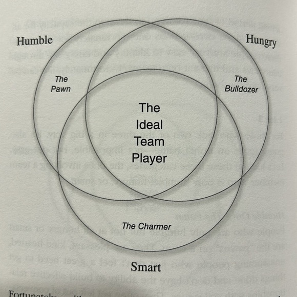 The Ideal Team Player book by Patrick Lenciono - Picture 3 of 3
